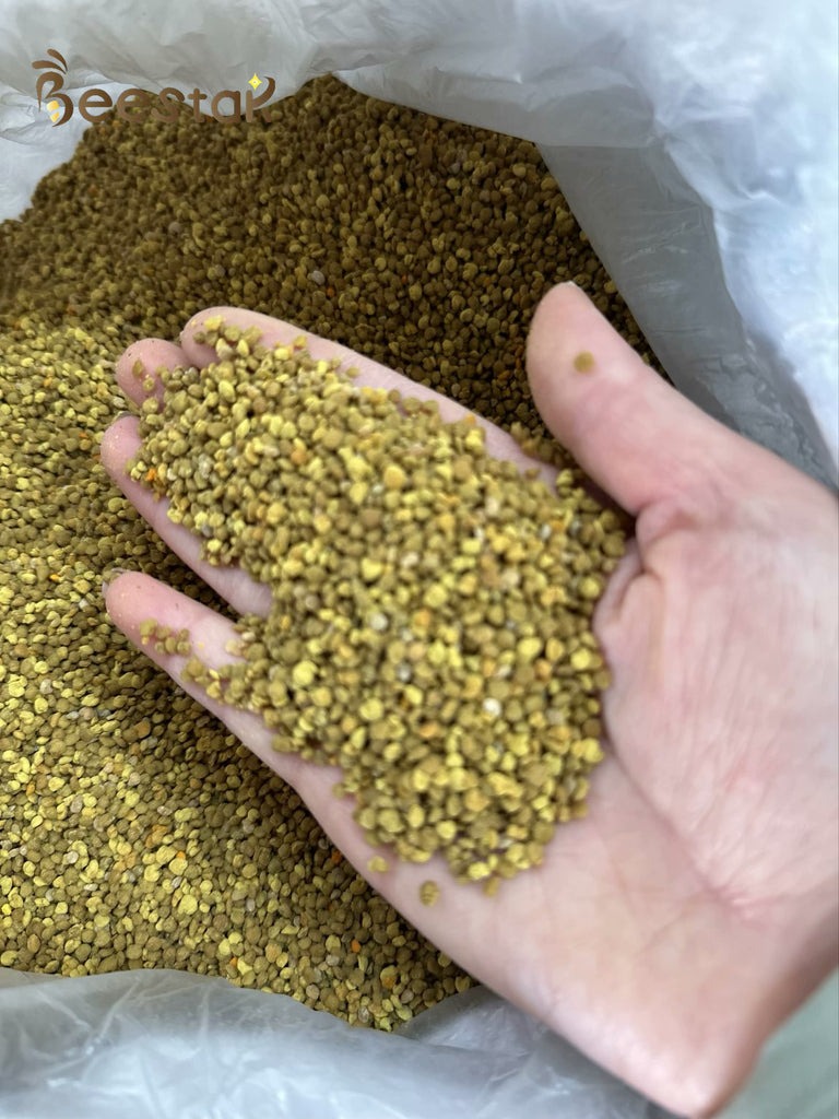 Pure Fresh Rape Pollen