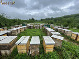 100% Natural Bush Forest Honey