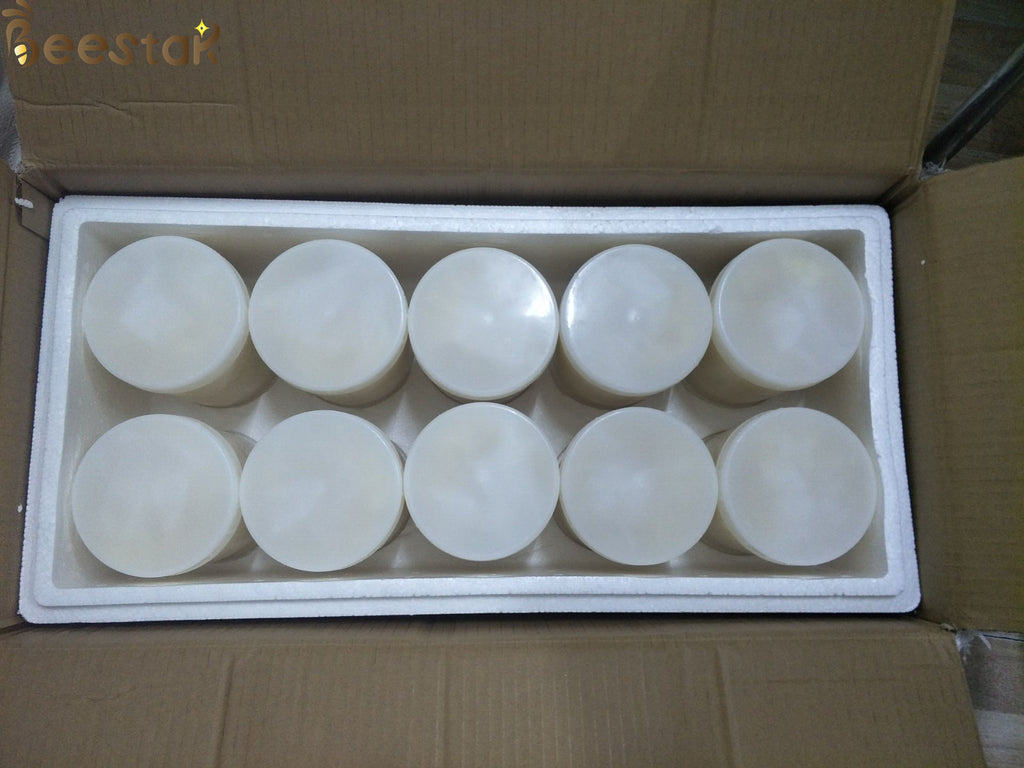 10-HDA 1.4% Fresh Royal Jelly
