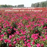 BEESTAR Customizable Hot Selling New Products Portable Separate Rose Honey Water for Beverage & Mineral Water for Plastic Bottle