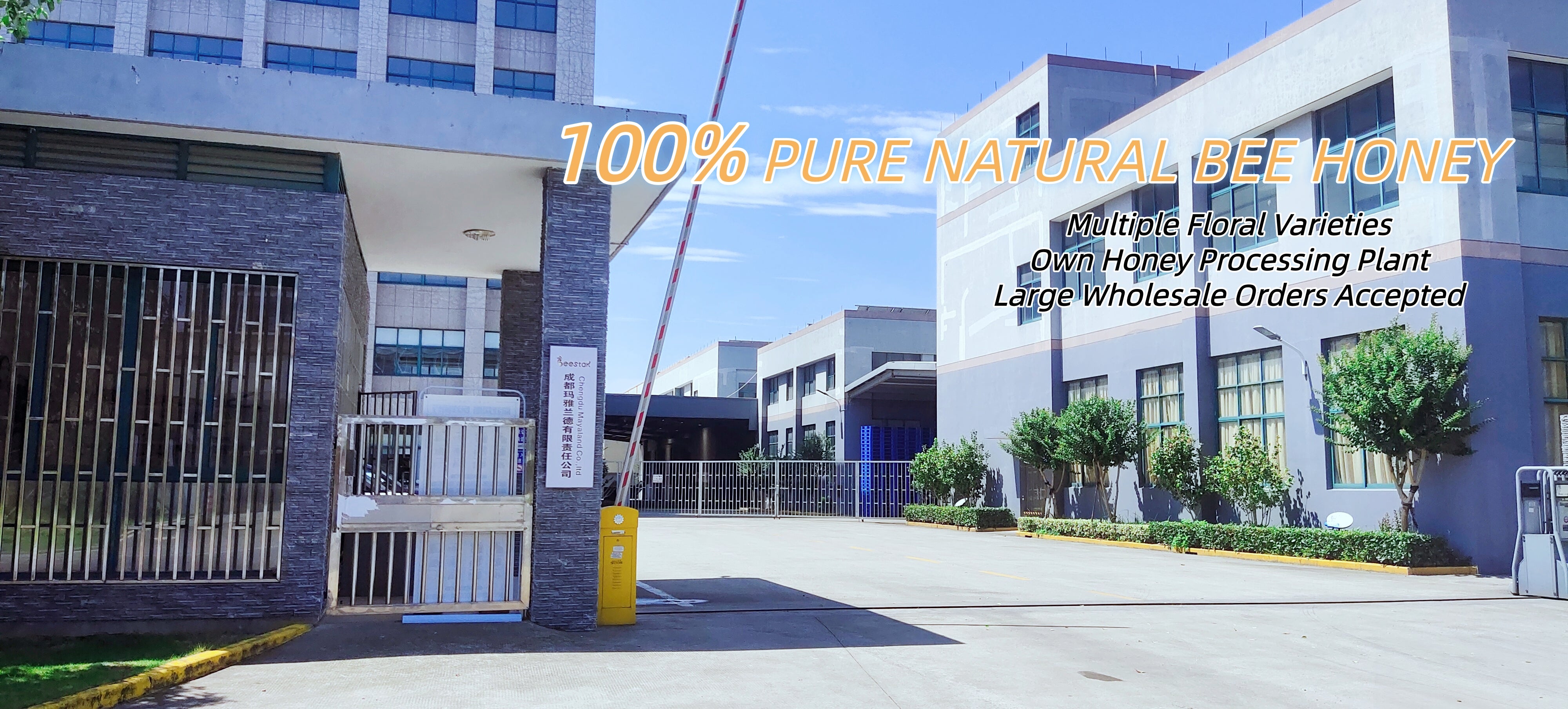 Chengdu Mayaland Trading Co., Ltd.
