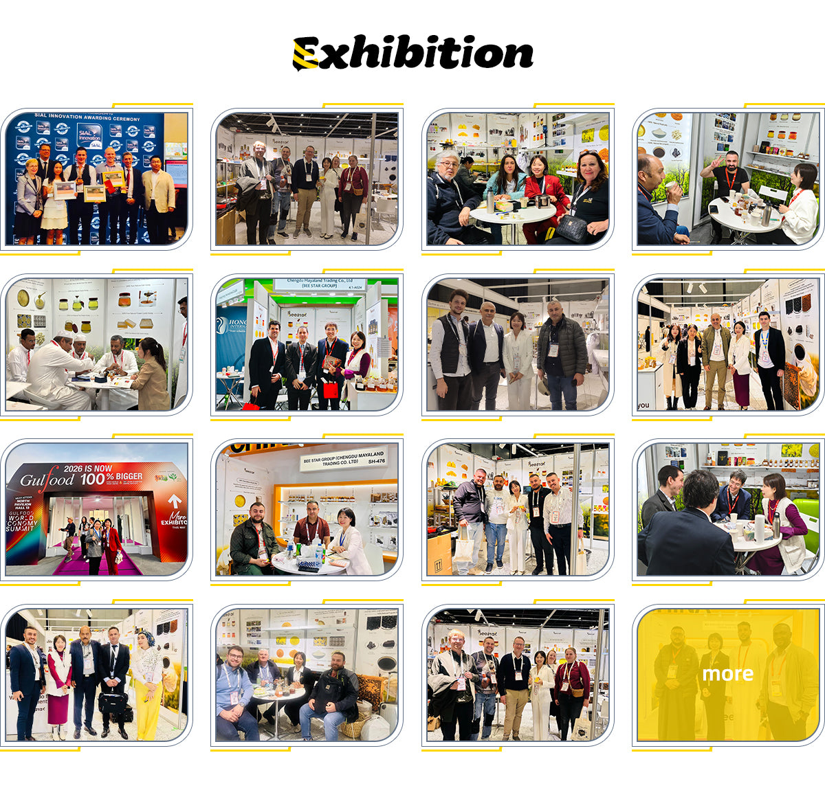 Chengdu Mayaland Trading Co., Ltd.